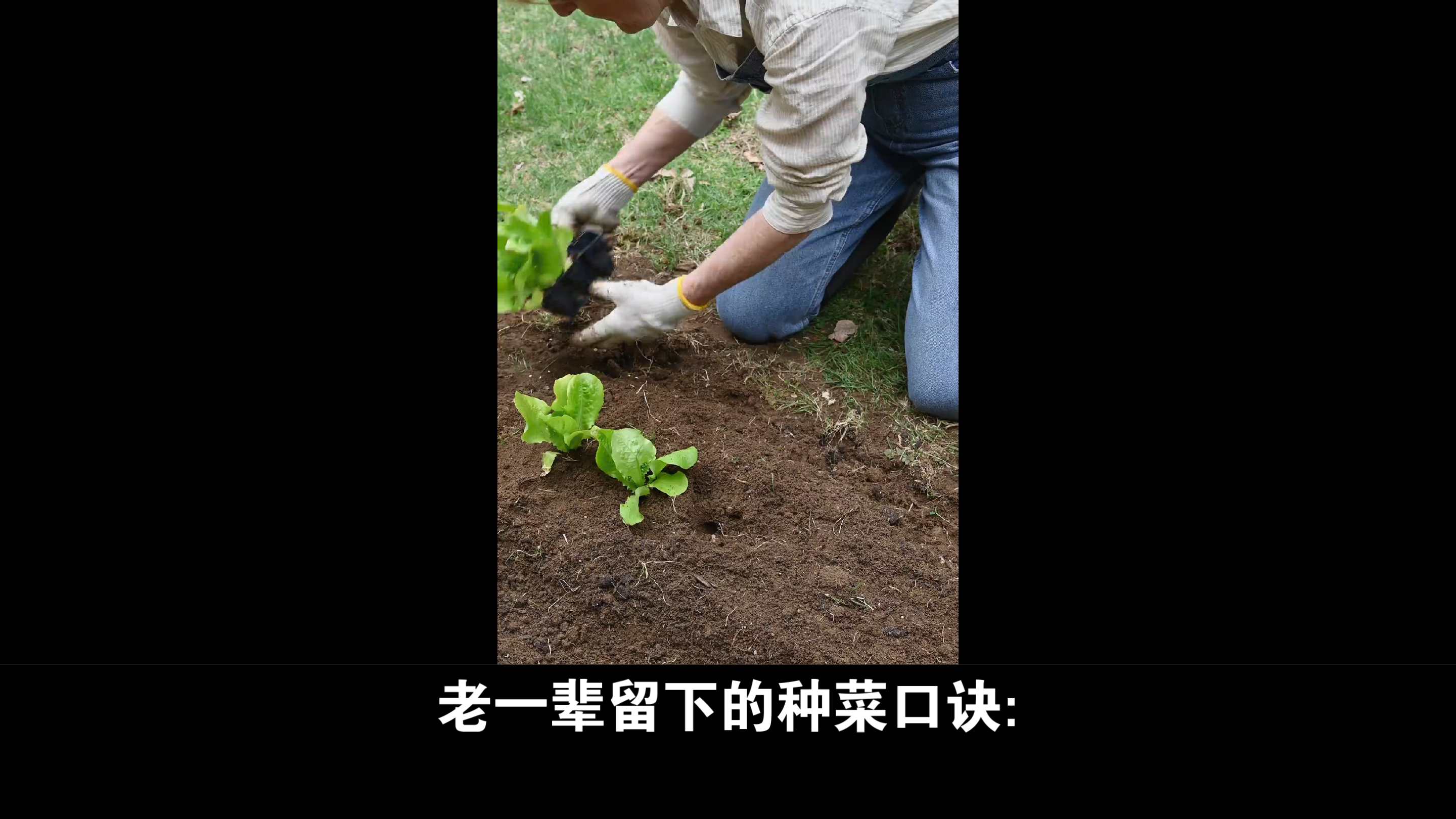 经典老歌,熟悉的旋律,百听不厌,小阿枫唱出不一样的古典韵味!