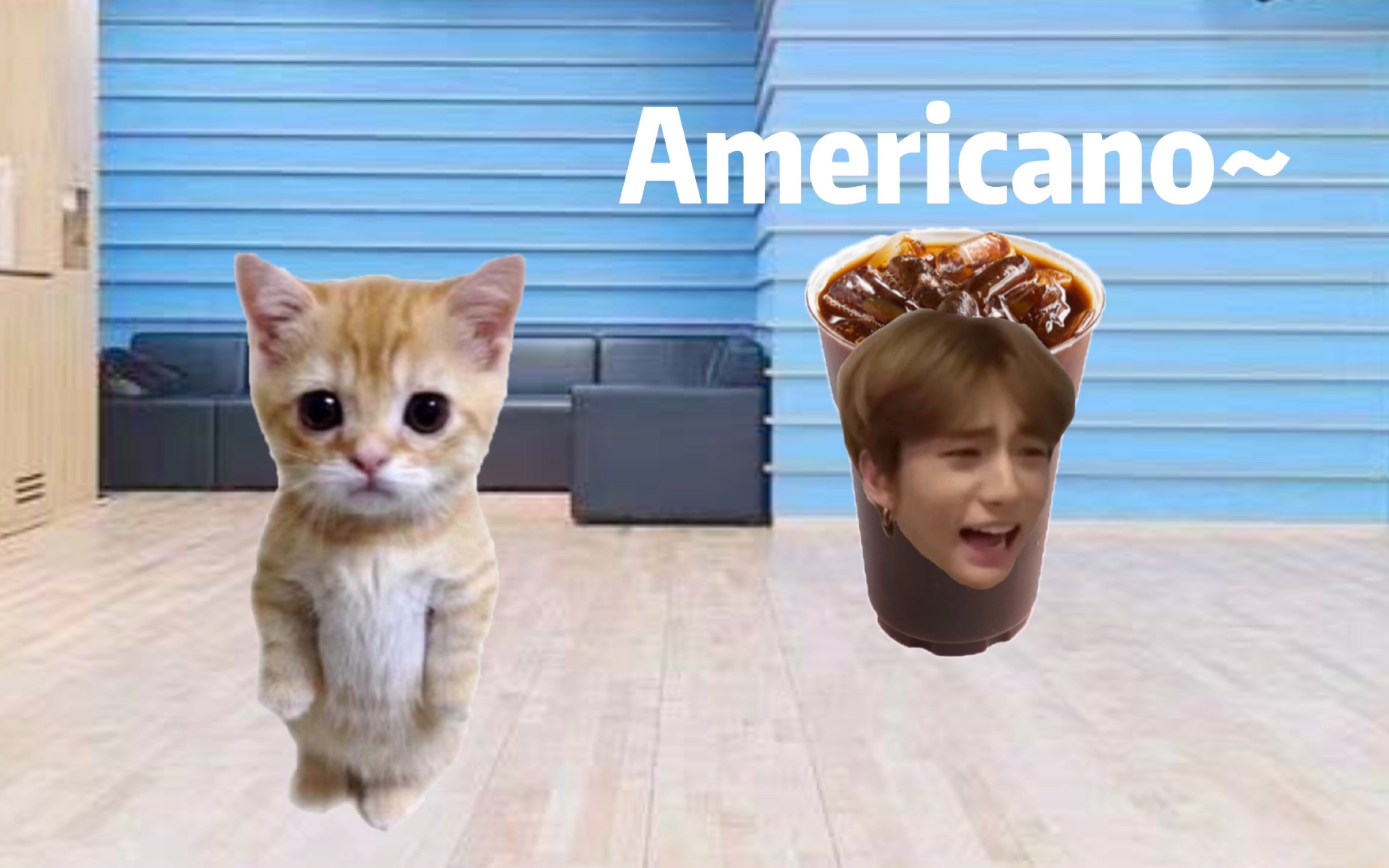 [图]可颂猫，但是americano