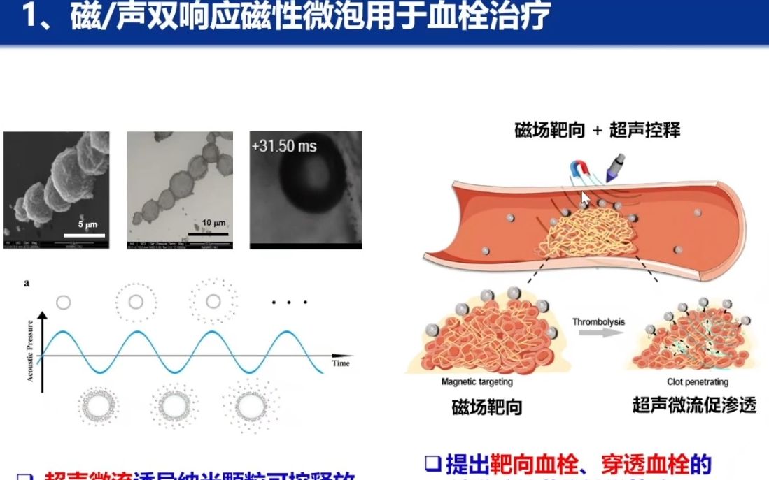 20230606南京邮电大学汪联辉功能纳米材料及其在生物医学诊疗中的应用哔哩哔哩bilibili