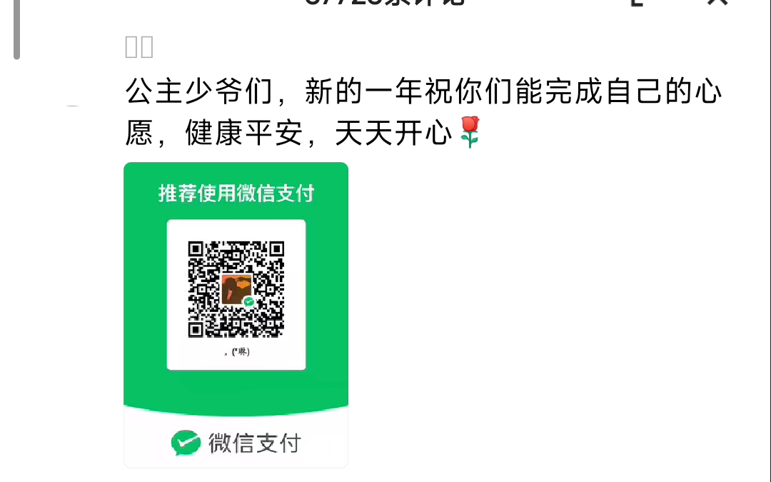 快手点赞评论网站微信支付的简单介绍