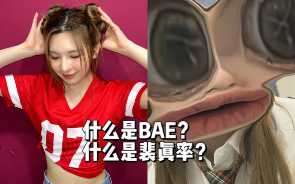 什么是BAE?什么是裴真率?哔哩哔哩bilibili