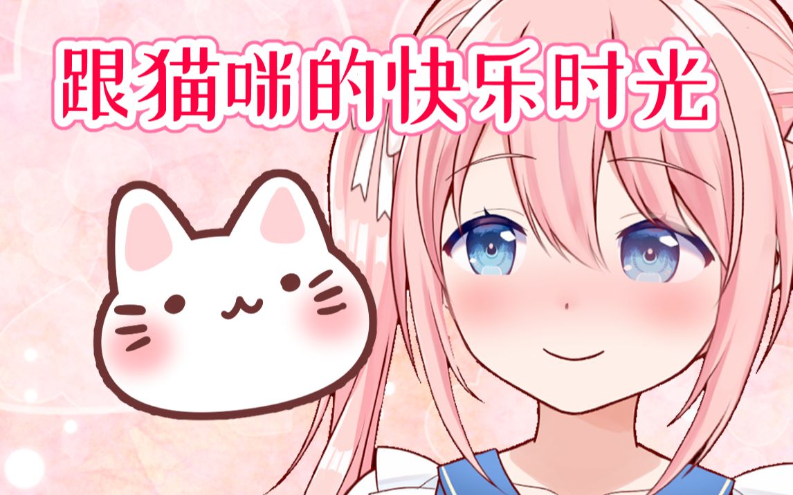 跟猫咪的快乐时光哔哩哔哩bilibili