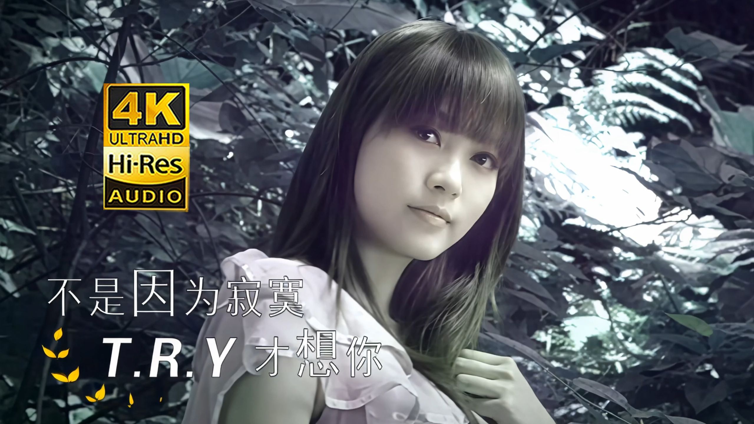 【极品高清4K】T.R.Y《不是因为寂寞才想你》MV Hi-Res无损音频超清修复