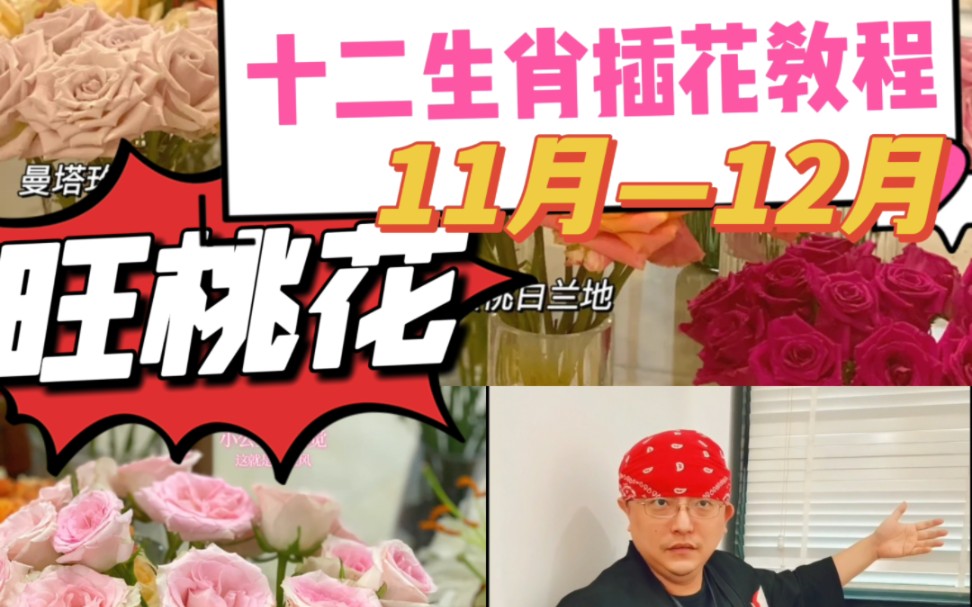 熊老师十二生肖1112月旺桃花插花教程 赶紧脱单哔哩哔哩bilibili