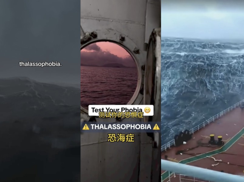 【tiktok】测试一下你的深海恐惧症达到几级,晚上的大海真的好恐怖哦哔哩哔哩bilibili