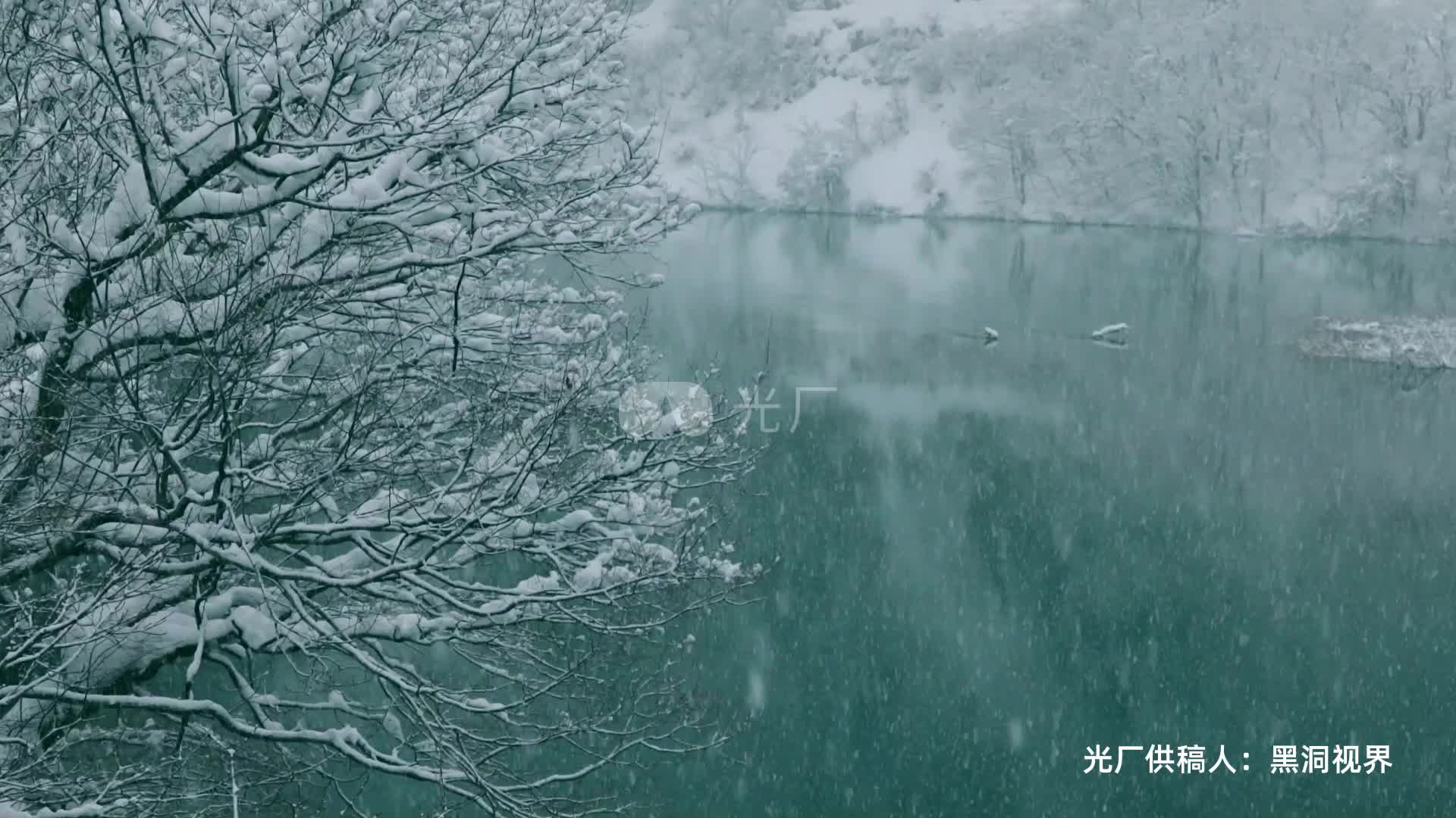 [图]立冬下雪唯美雪景雪花纷飞视频素材