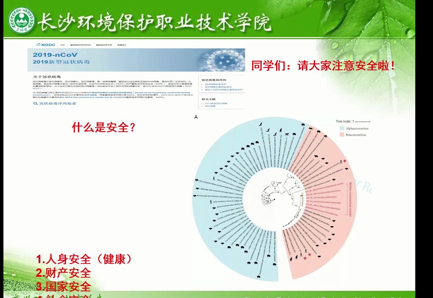 [图]食品安全与控制技术录课2