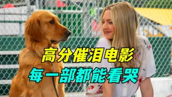 Download Video: 一口气看完全部系列：超感人催泪电影，每一部都能把你看哭，愿世界充满爱！