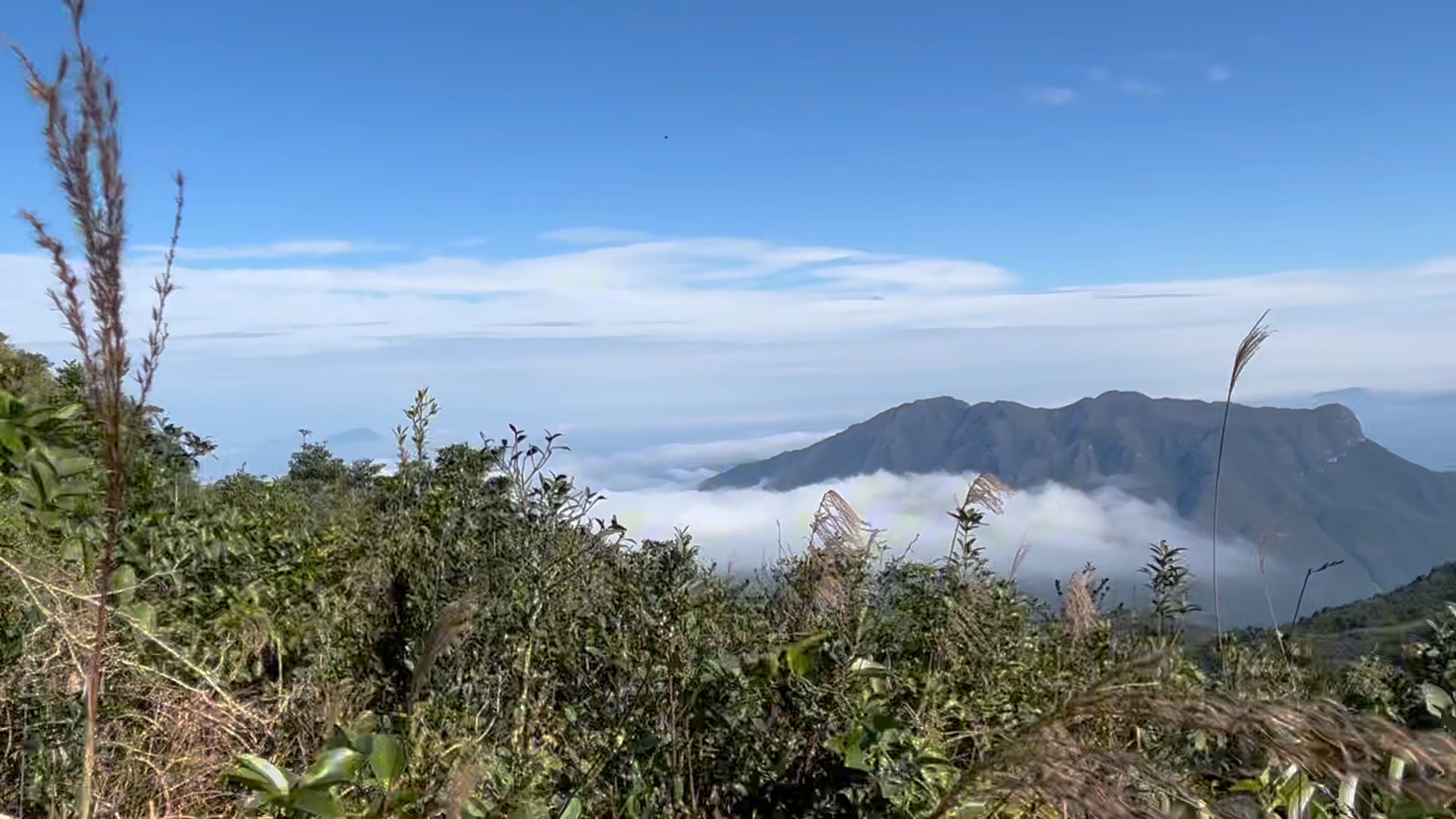 高山云雾图片