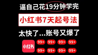 Download Video: 小红书起号正确的方法，7天快速起号法，小红书矩阵引流！2024版小红书运营教程，小红书运营规则和技巧，小红书起号教程，小红书起号攻略，小红书矩阵账号怎么做，小红