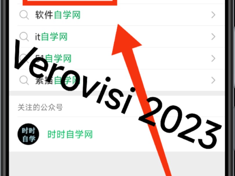 Verovisi 2023 学习 安装教程 安装包下载哔哩哔哩bilibili