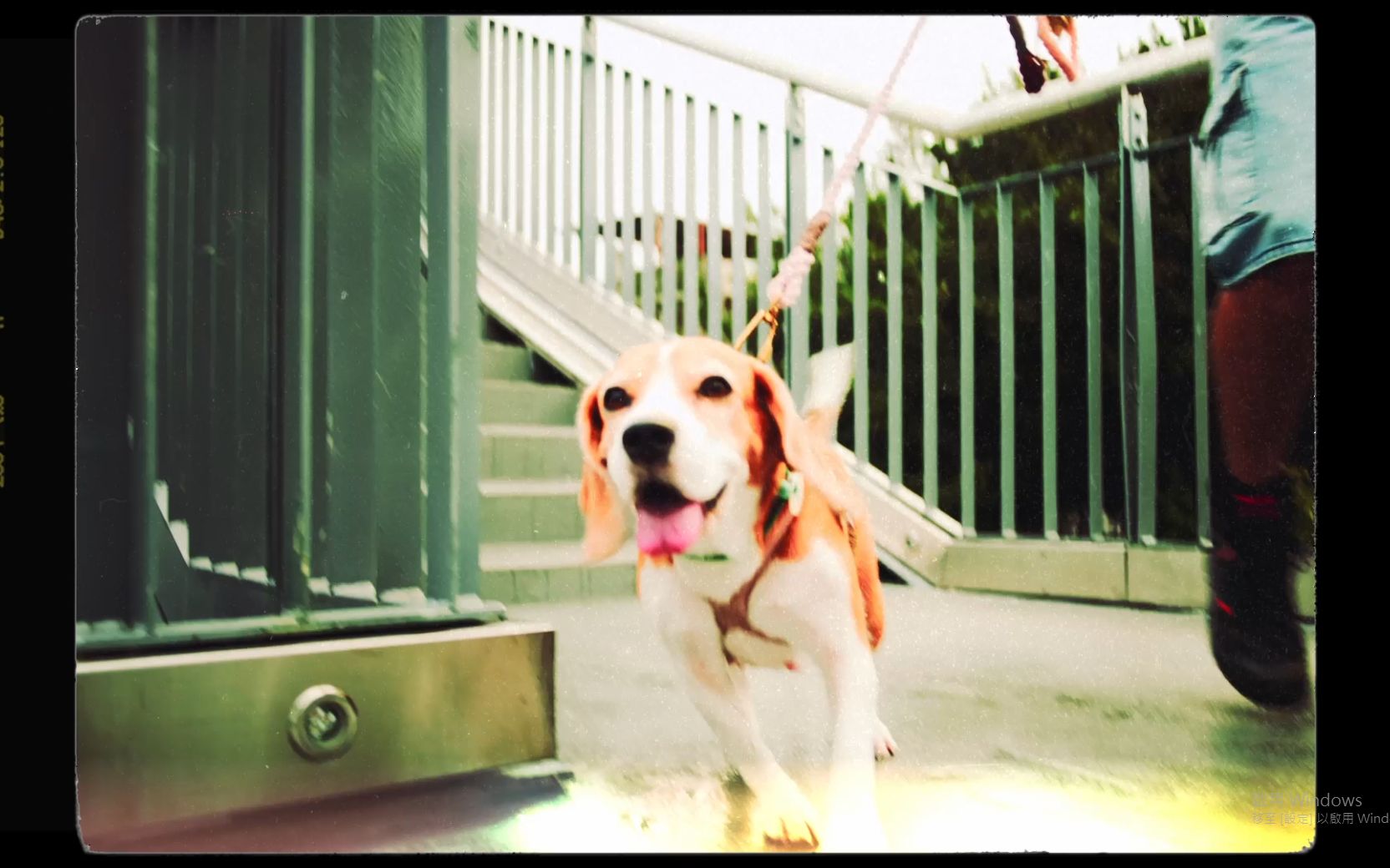 【狗勾 CUTE PUPPY】靜芳 ft. 沈默紳士 Official MV-静芳喵教主-静芳喵教主-哔哩哔哩视频