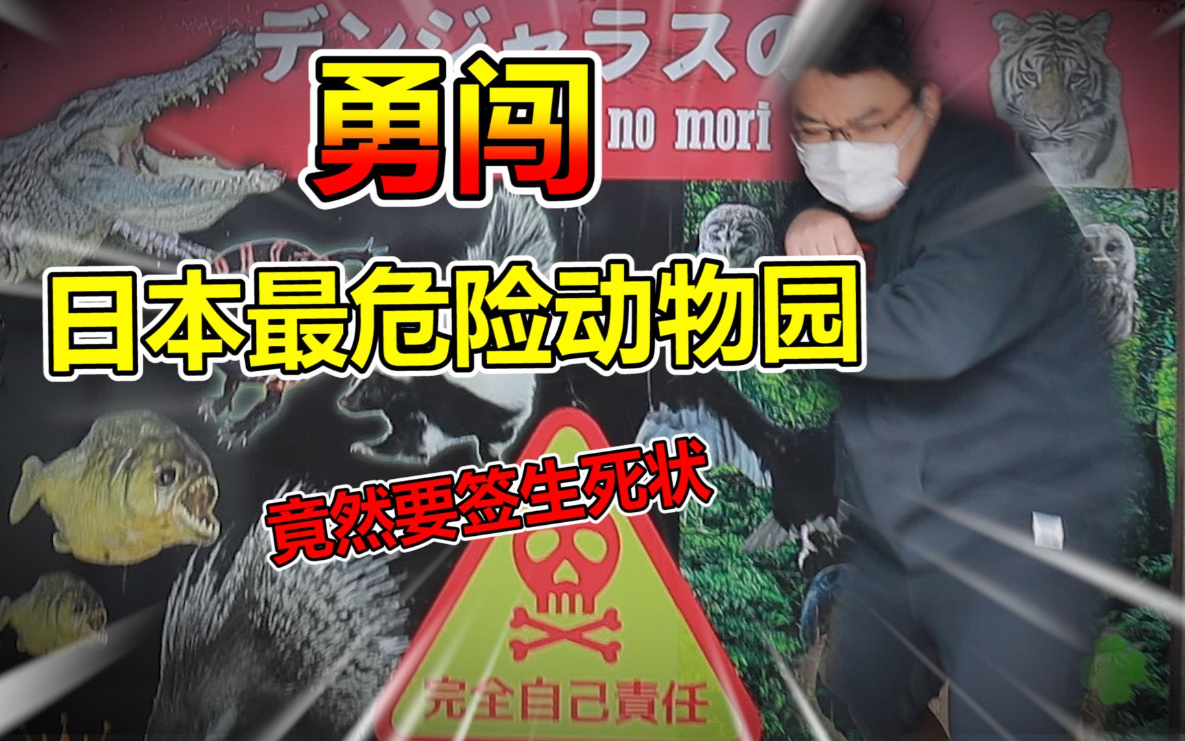胖小伙勇闯日本最危险动物园竟然还要签生死状