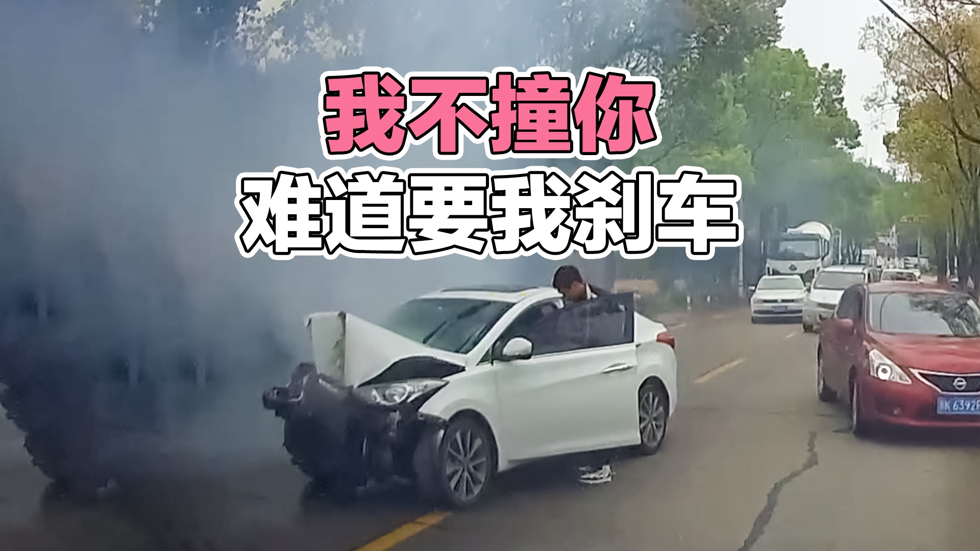 [图]我不撞你，难到要我刹车