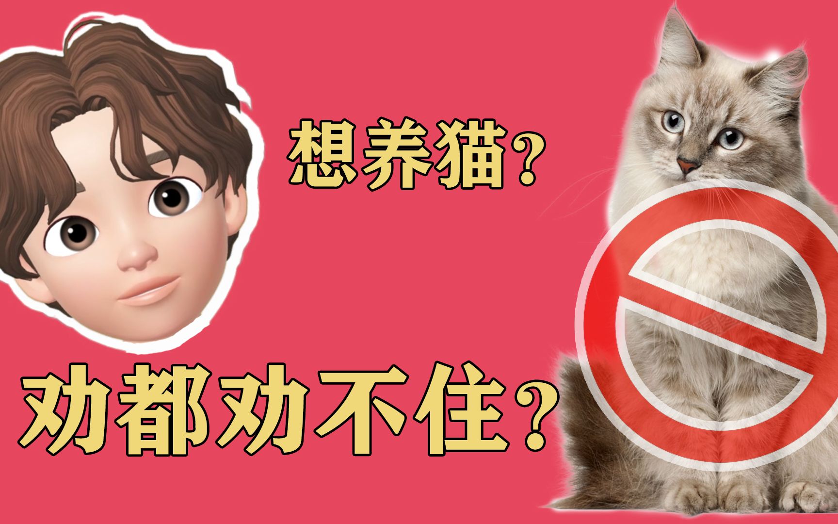 [图]养猫劝退指南——养猫前必看