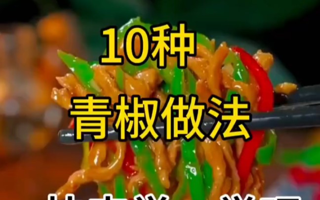 10种青椒做法哔哩哔哩bilibili