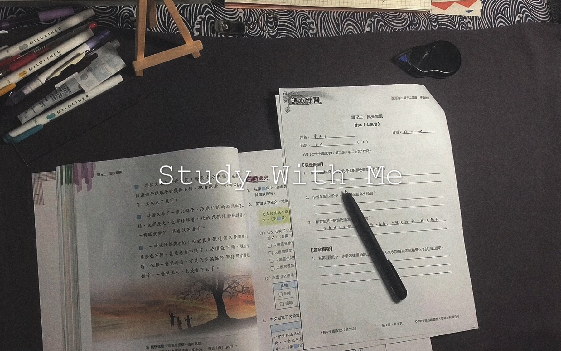 【Study With Me】15|初二|我们仰望同一片天空,却看着不同地方|希望以此视频给你带来动力哔哩哔哩bilibili