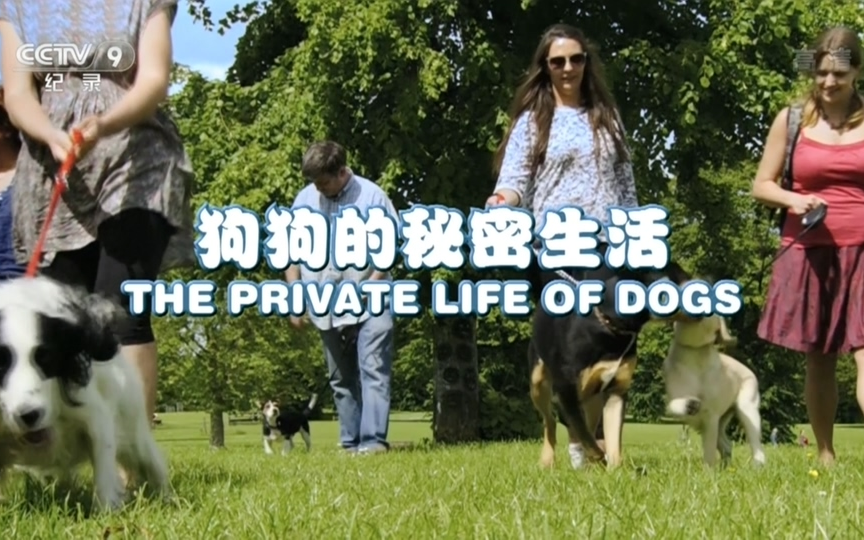 [图]【CCTV-HD】狗的秘密生活 The Private life of Dogs【1080P】【2015】【4集全】