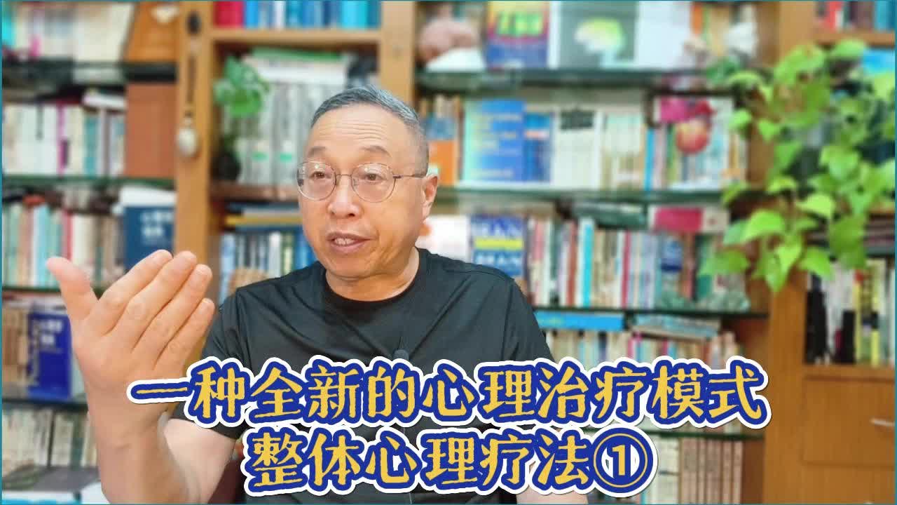 介绍一种全新的心理治疗模式——整体心理疗法1哔哩哔哩bilibili