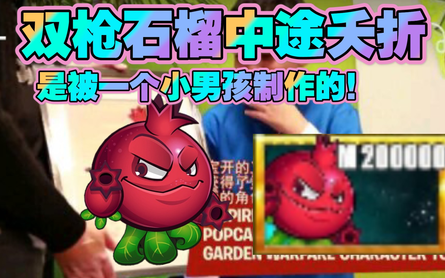 废稿双枪石榴夭折的原因一个小男孩制作的植物