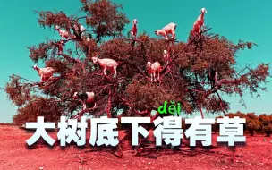 Télécharger la video: 【政经启翟】压低老百姓的福利来发展本国经济，这不是必须滴！