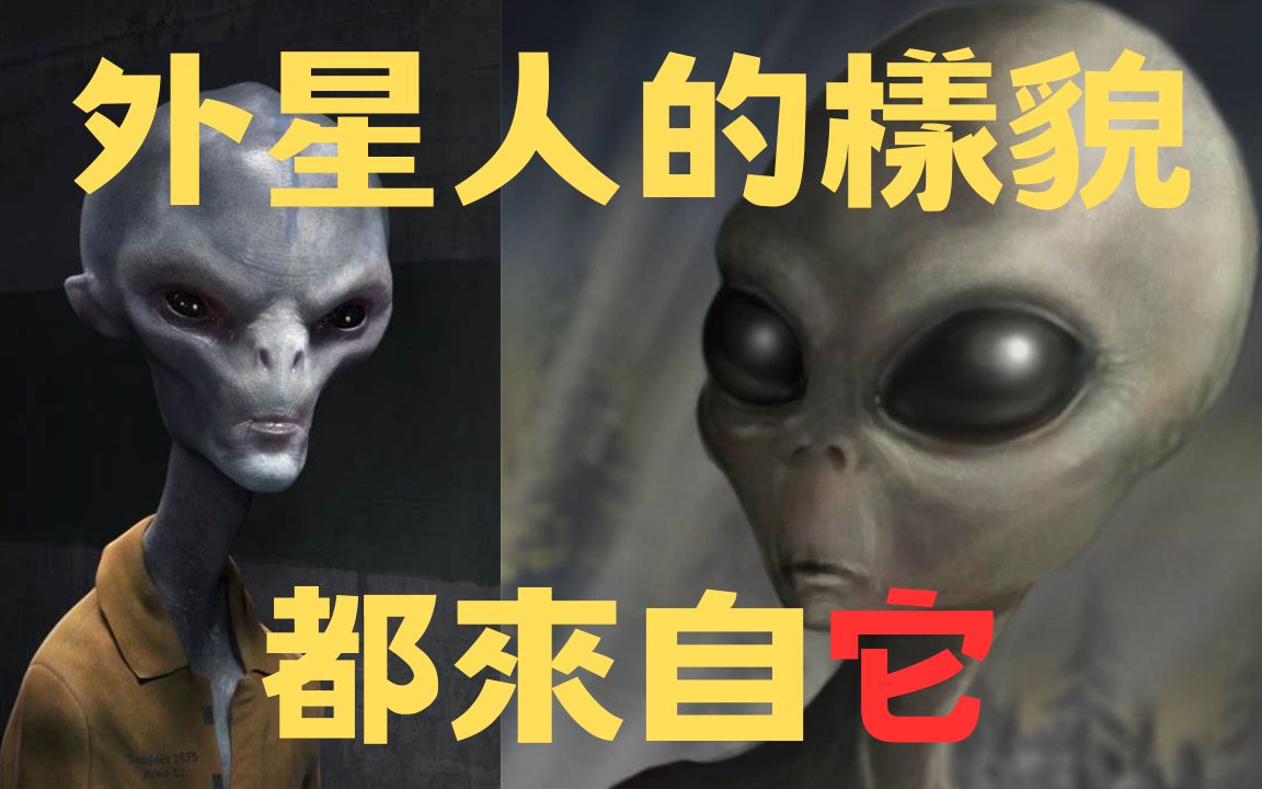 【原來我們看到的外星人都是它】神秘的小灰人,是三人成虎或是真有其