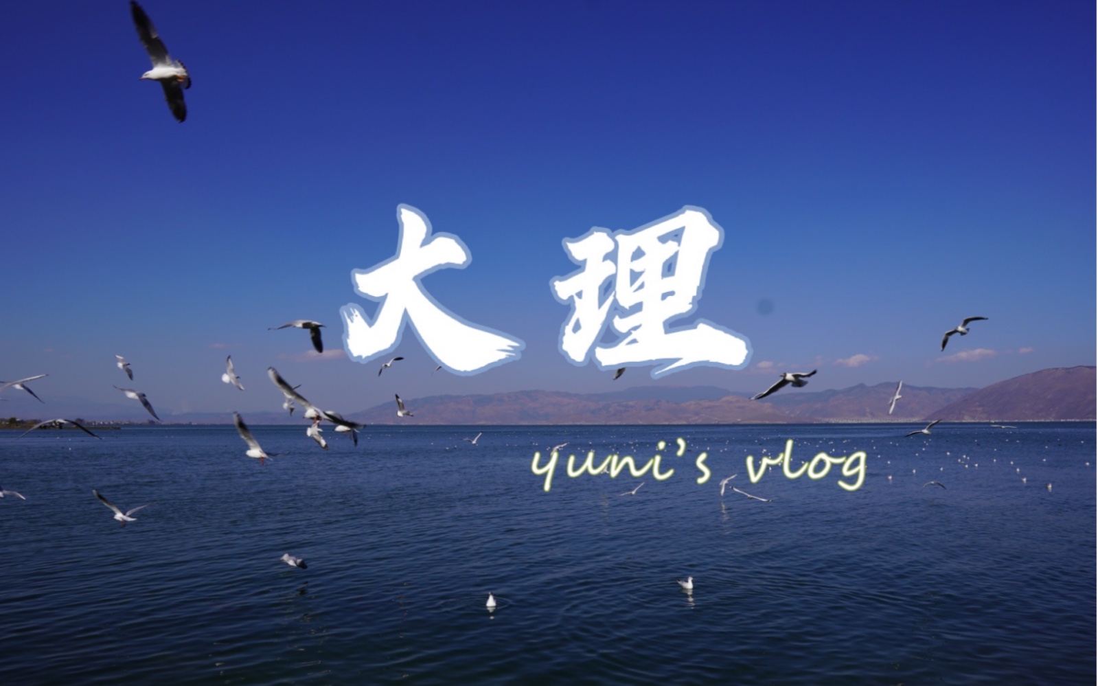 【YUNI】Vlogⷵ|大理|苍山洱海|Dali Yunnan|Paradise哔哩哔哩bilibili