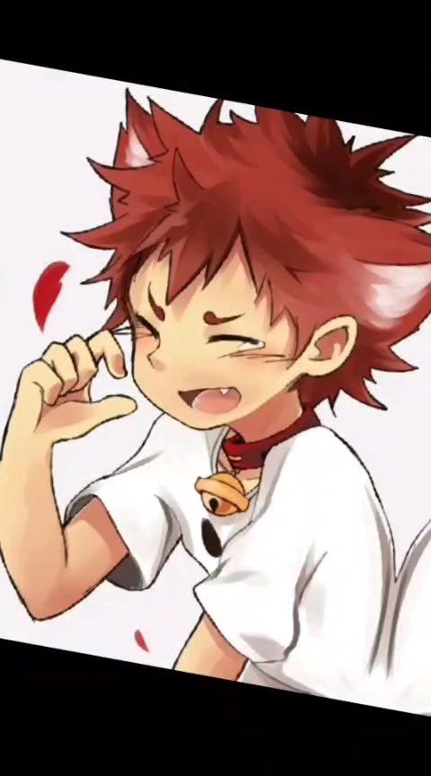 猫耳正太控,求审过求三连_哔哩哔哩 (゜-゜)つロ 干杯~-bilibili