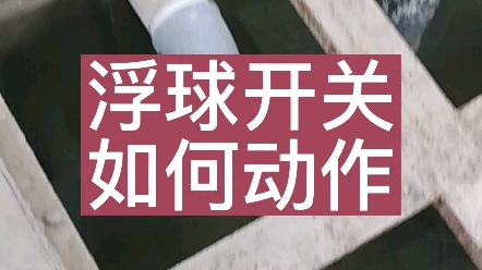 浮球开关如何动作哔哩哔哩bilibili