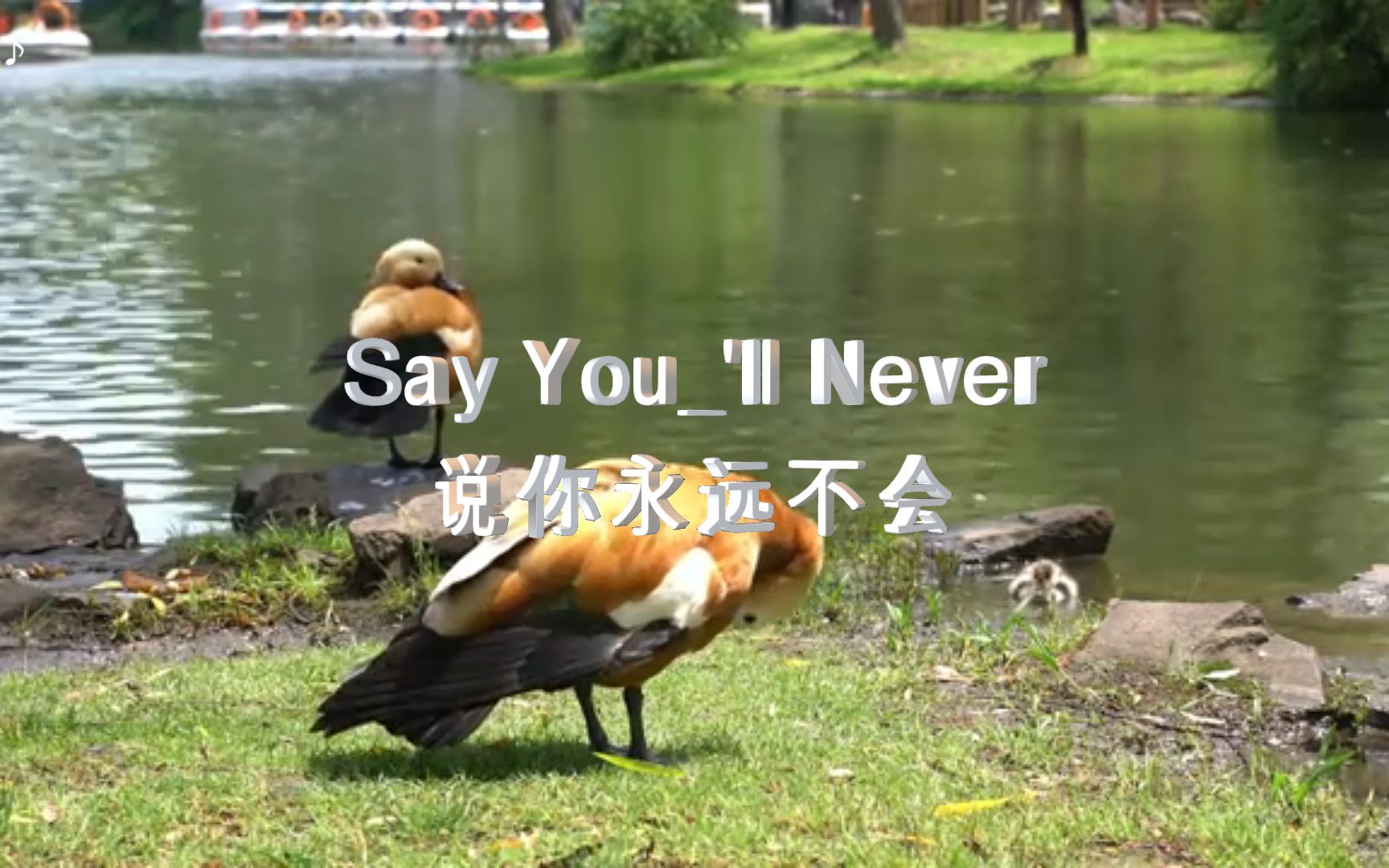 [图]风靡全球的荷东金曲《Say You_'ll Never -说你永远不会》魅力强进，历久弥香