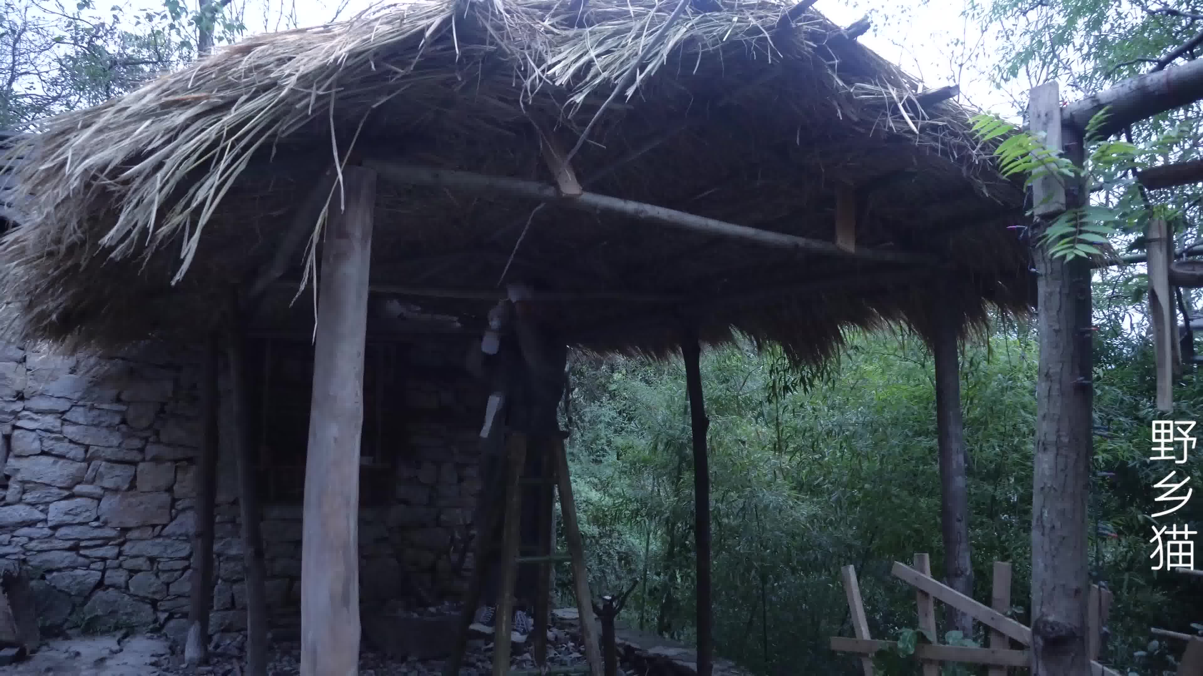 隐居深山,给凉亭换个新造型,深夜在爆炒一锅肥肠,一整条吃起来真有