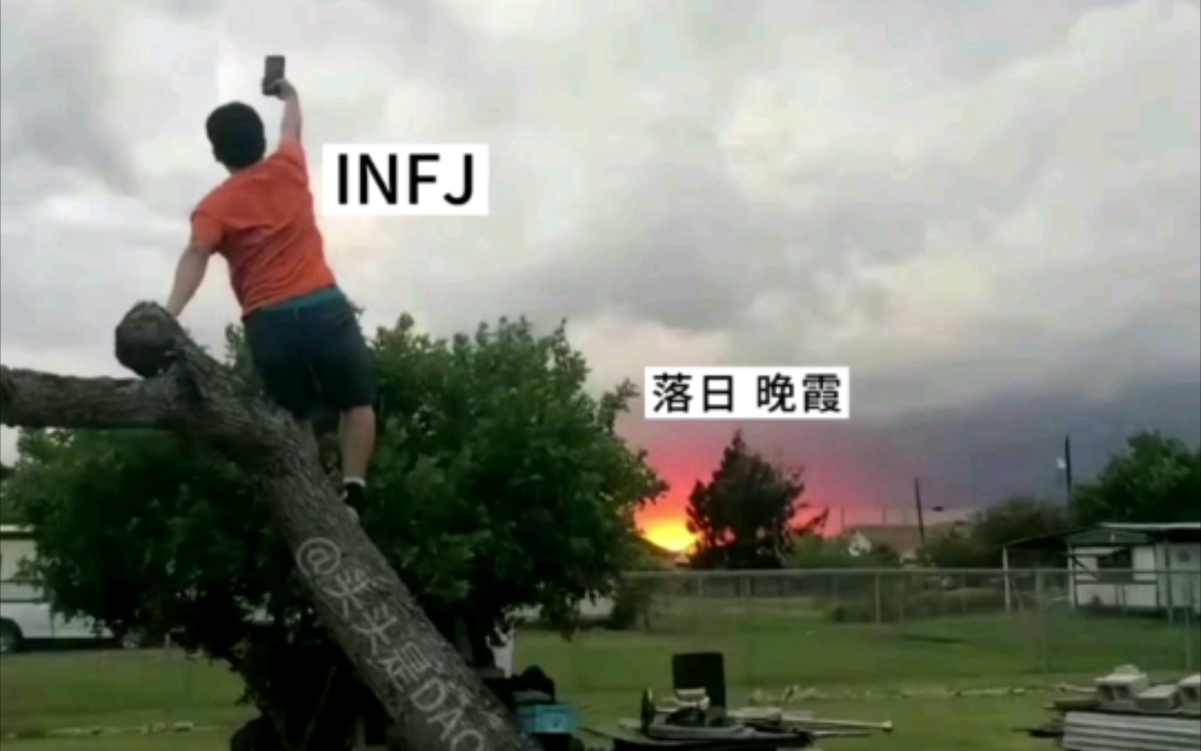 第三弹/ INFJ一些癫狂无奈复杂的一些梗图哔哩哔哩bilibili