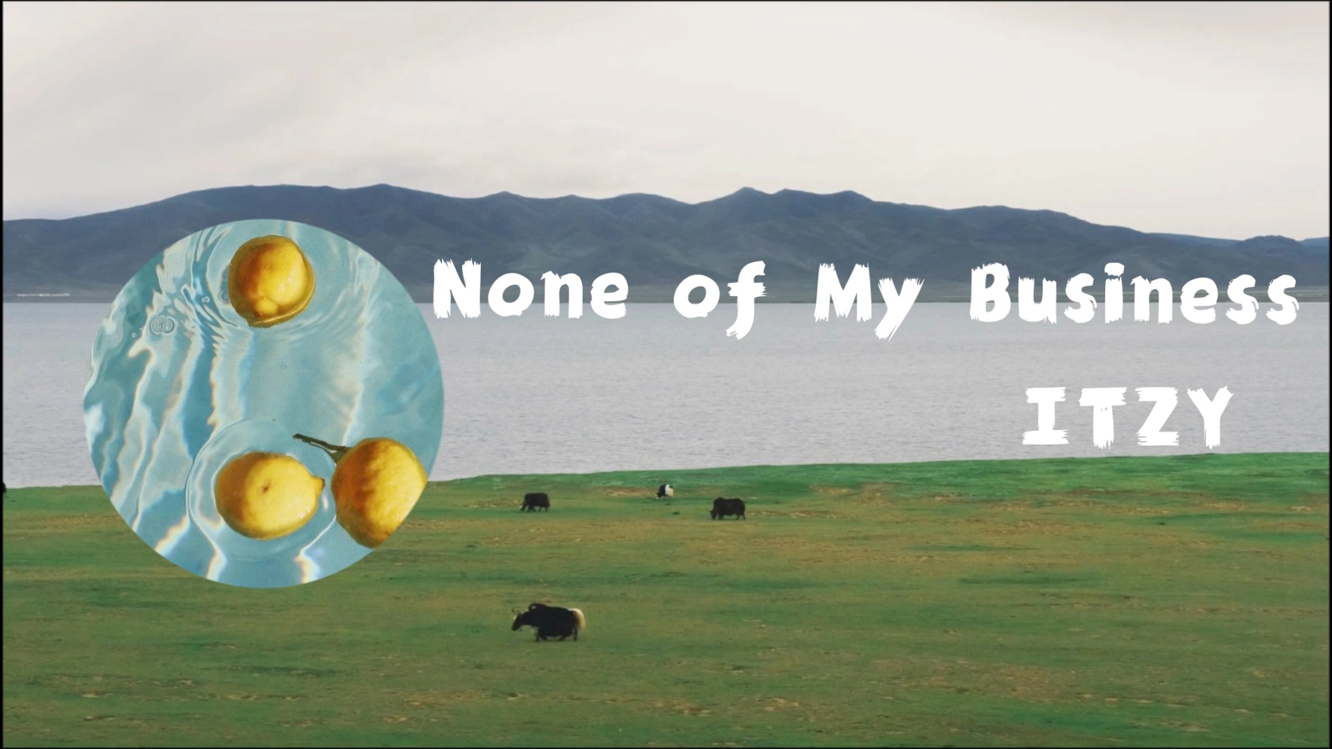 none-of-my-business