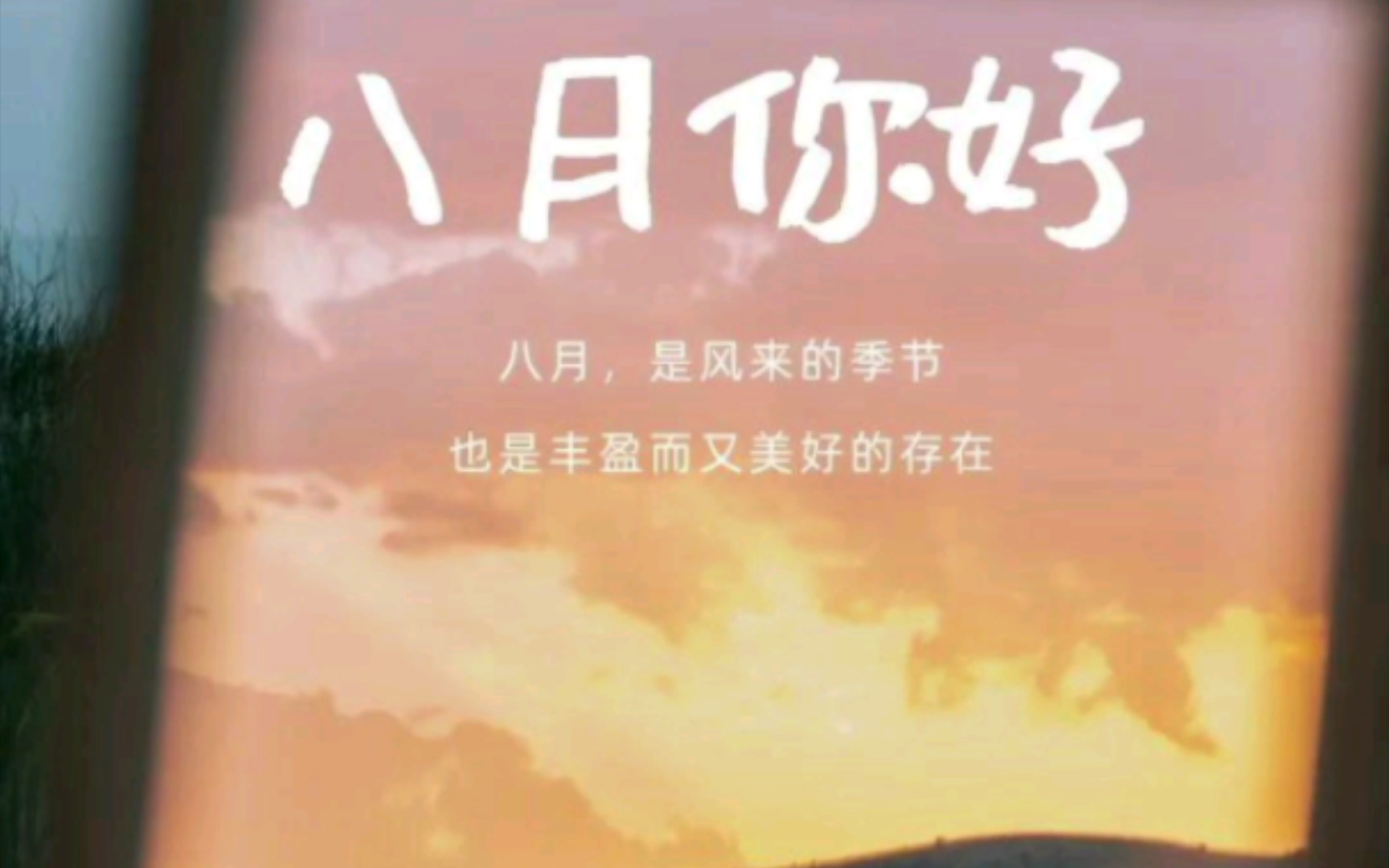 八月,你好!哔哩哔哩bilibili