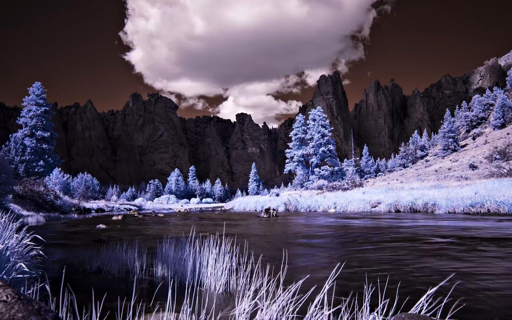 摄像机能记录人眼看不到的超现实唯美世界