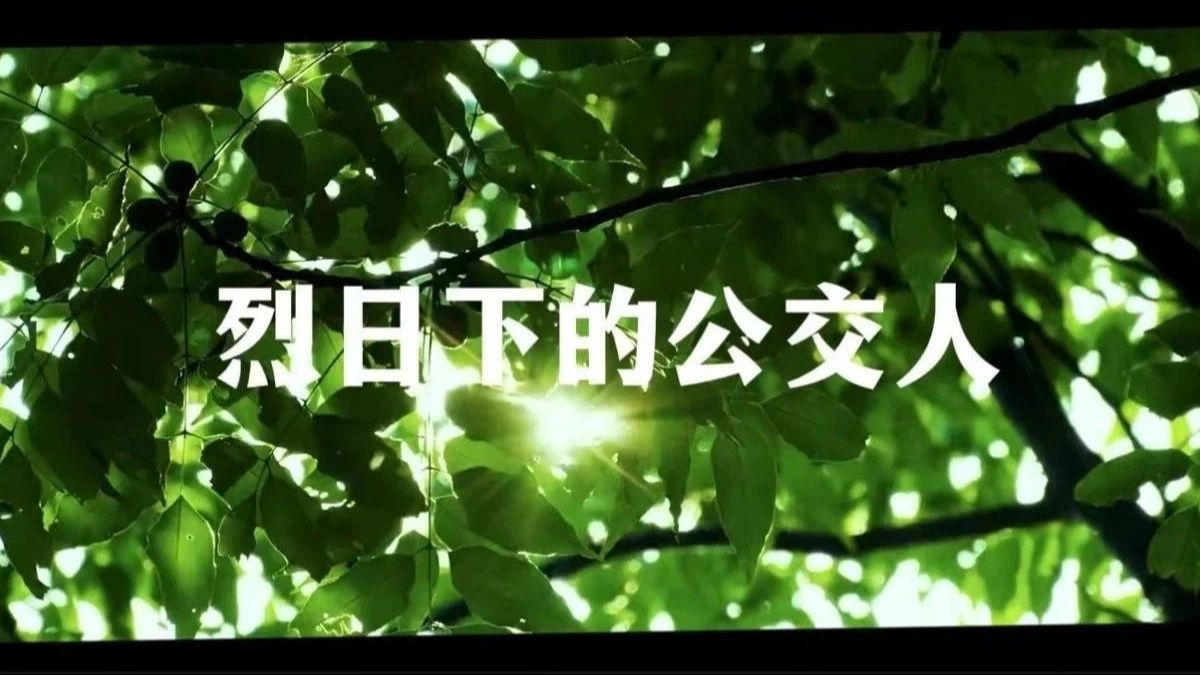 【青浦巴士】守护当“夏” “暑”你最美——致敬高温下的公交人哔哩哔哩bilibili