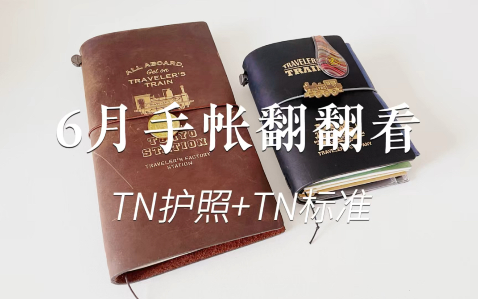 [图]6月手帐翻翻看‖TN护照+TN标准