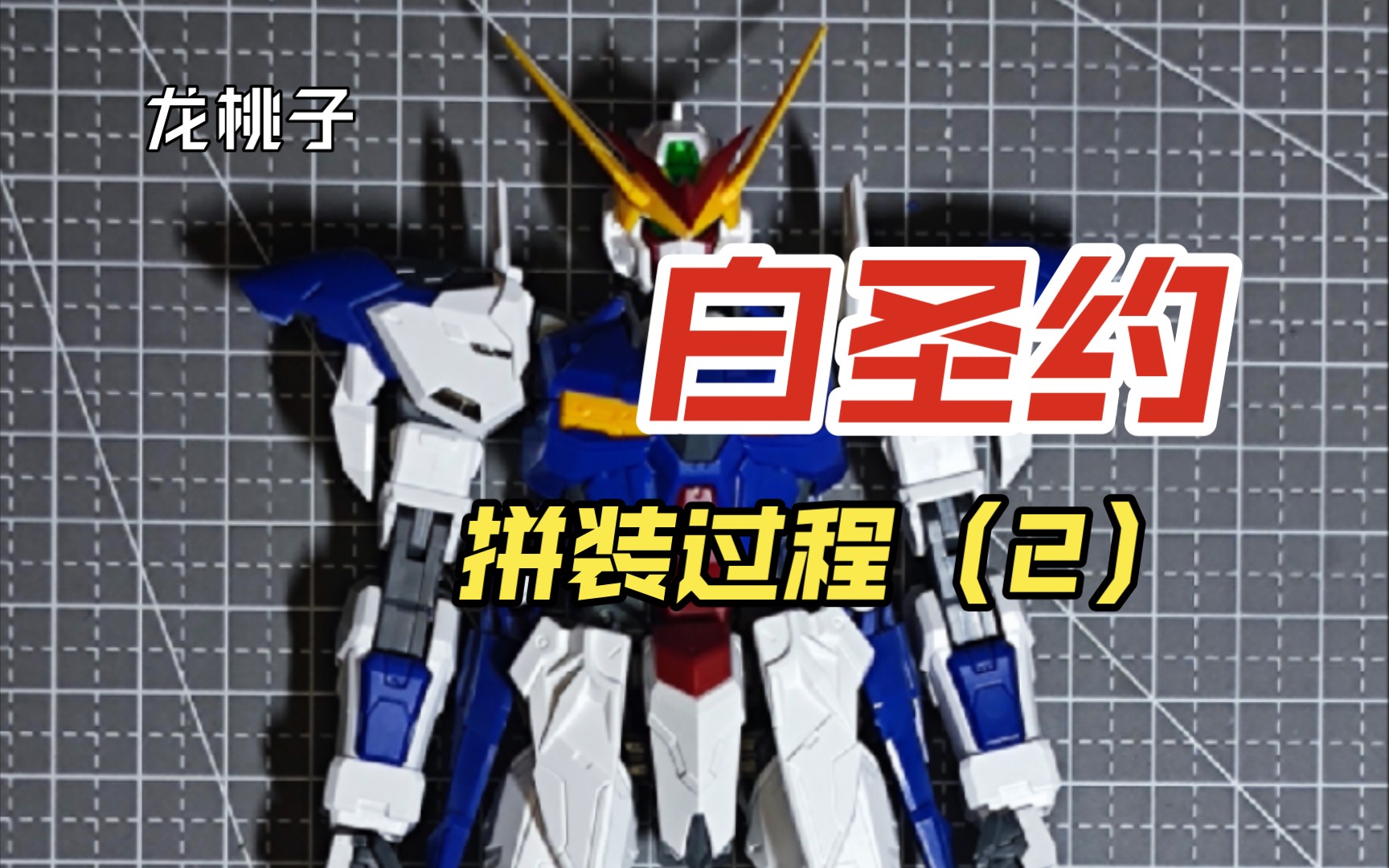 龙桃子 mg 白圣约 拼装过程(二)手腿
