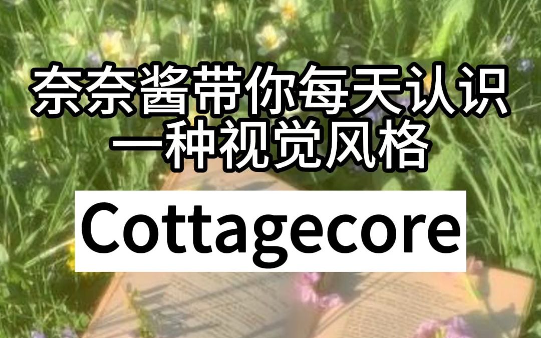 带你每天认识一种视觉风格—Cottagecore哔哩哔哩bilibili