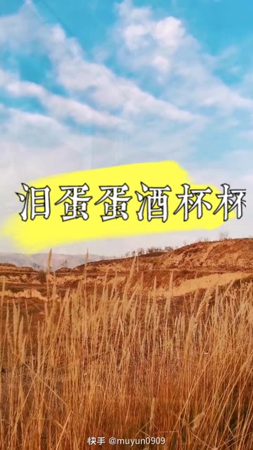 泪蛋蛋掉在酒杯杯里