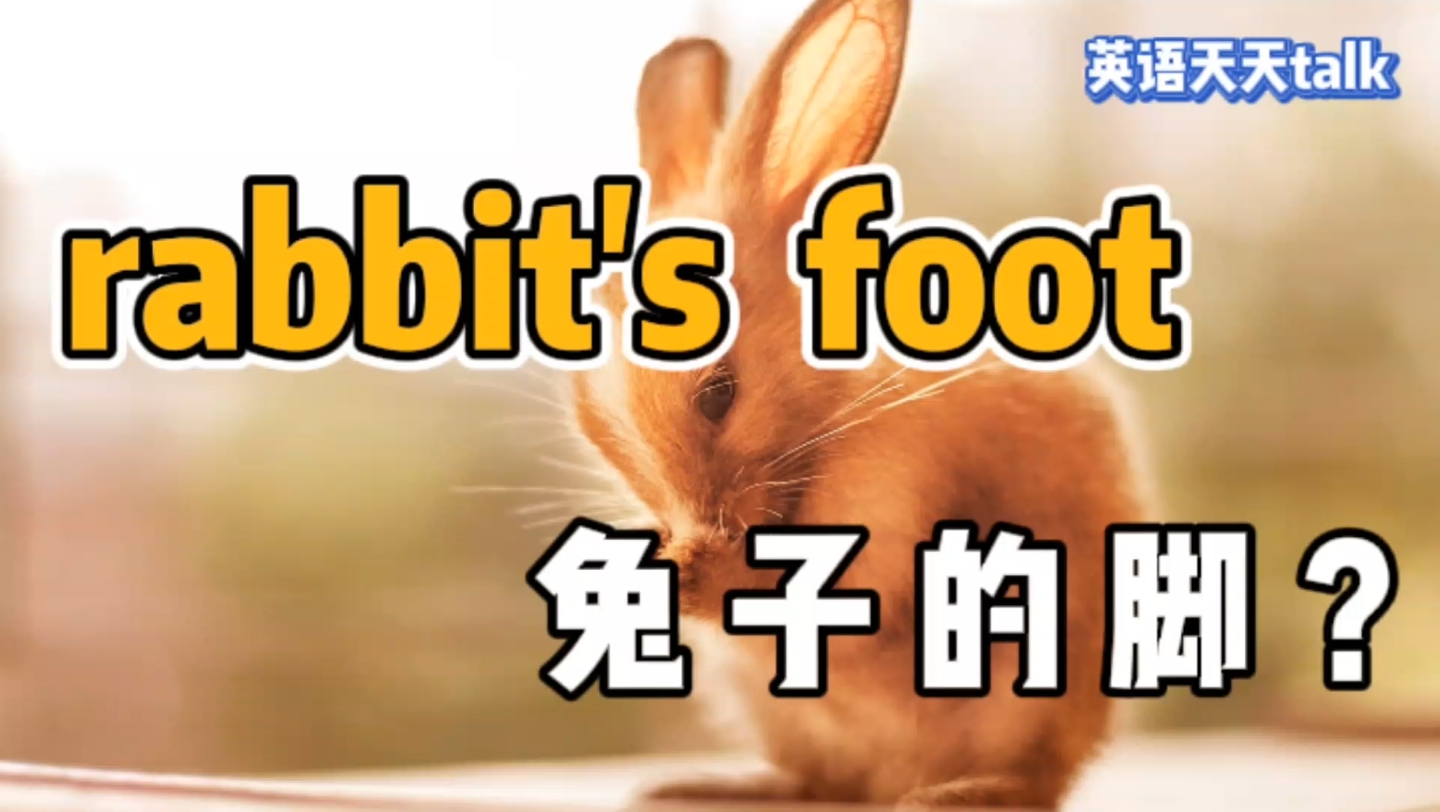 英语口语“rabbit's foot”,真正意思不是“兔子脚”,到底是什么呢?哔哩哔哩bilibili