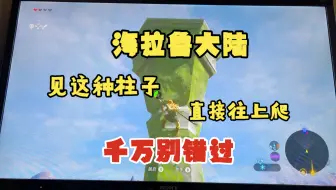 海拉鲁大陆，见这种柱子直接往上爬，千万别错过！！