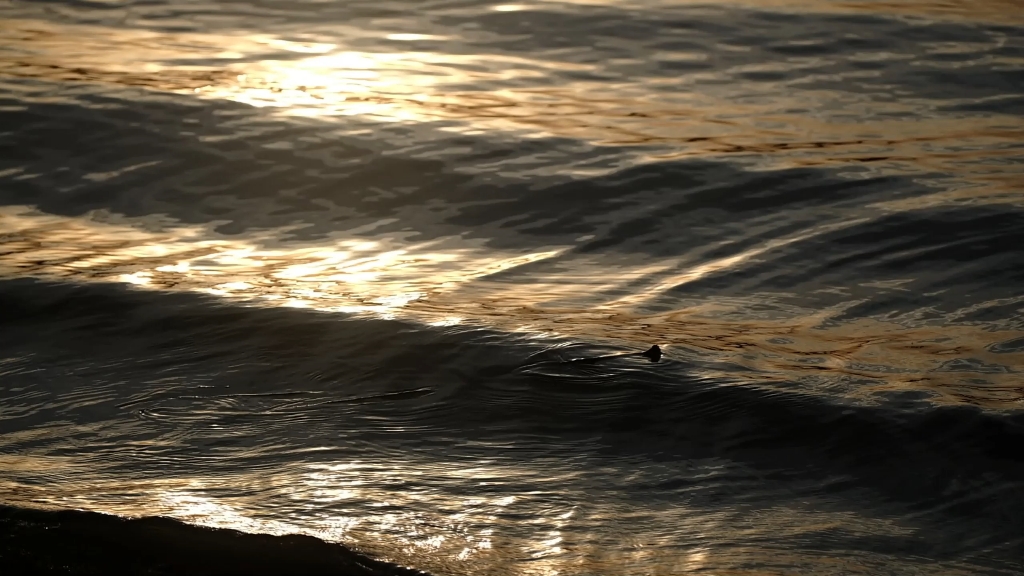 [图]公园野餐偶遇浪漫夕阳～