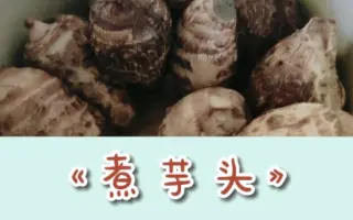 芋煮 搜索结果 哔哩哔哩 Bilibili