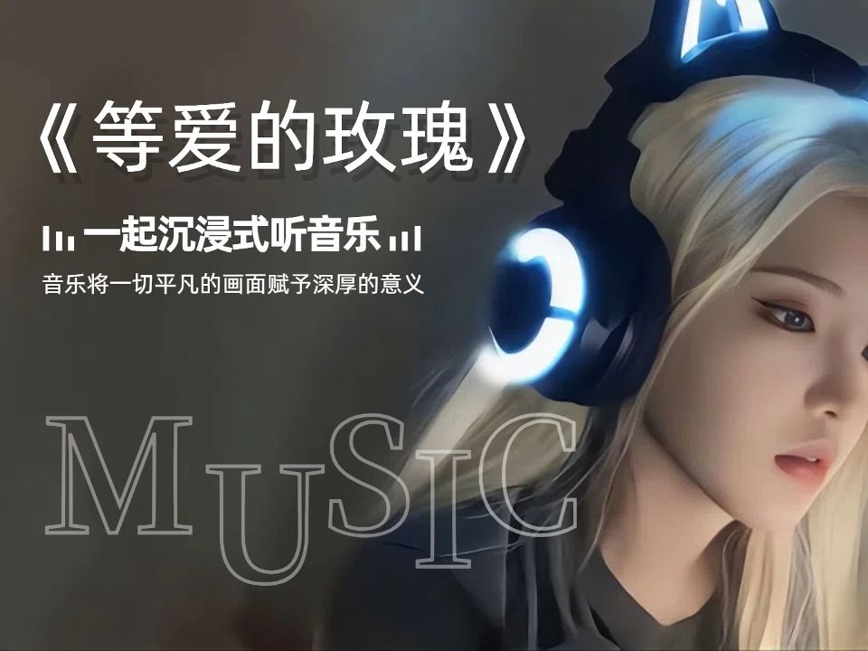 无损音乐合集《爱的玫瑰》哔哩哔哩bilibili