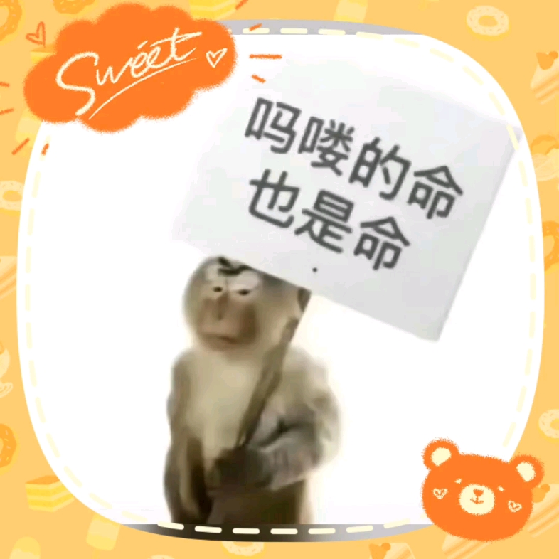 马楼的命当然是命