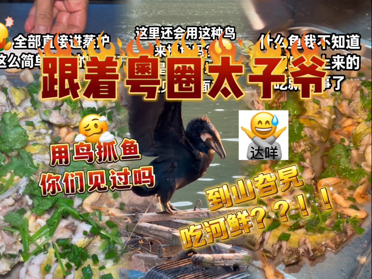 跟着粤圈太子爷来山旮旯吃河鲜，当地居民还用鸟抓鱼？？！！