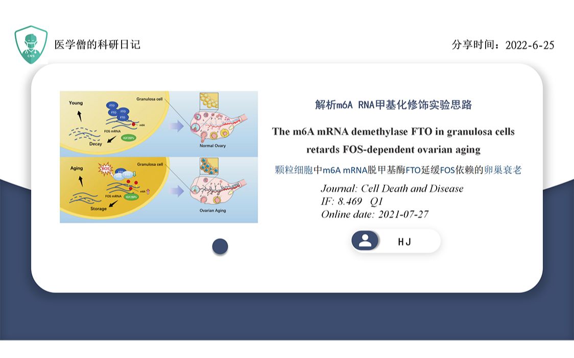 解析m6A RNA甲基化修饰实验思路哔哩哔哩bilibili