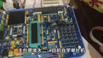 单片机逆天操作