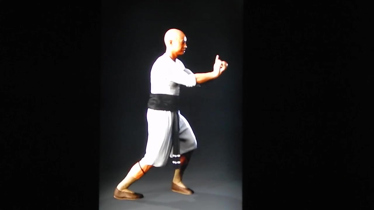 [图]林家洪拳 林世荣铁线拳（3D动画）